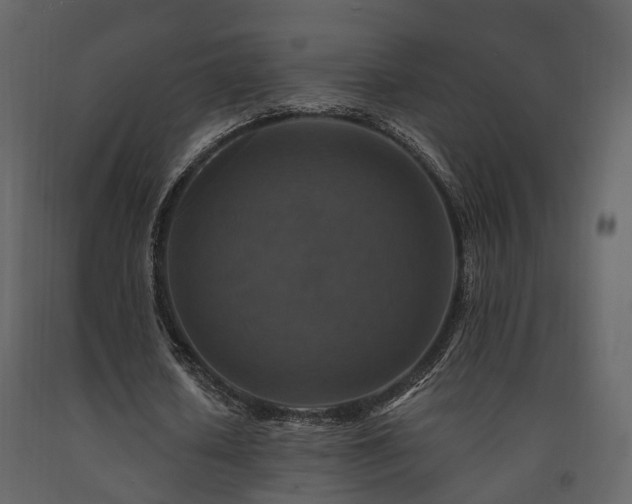 X0000091690626200708231441