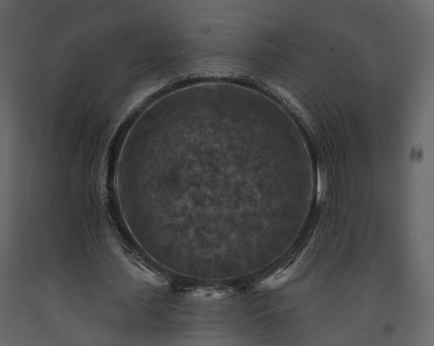 X0000091690627200708231441