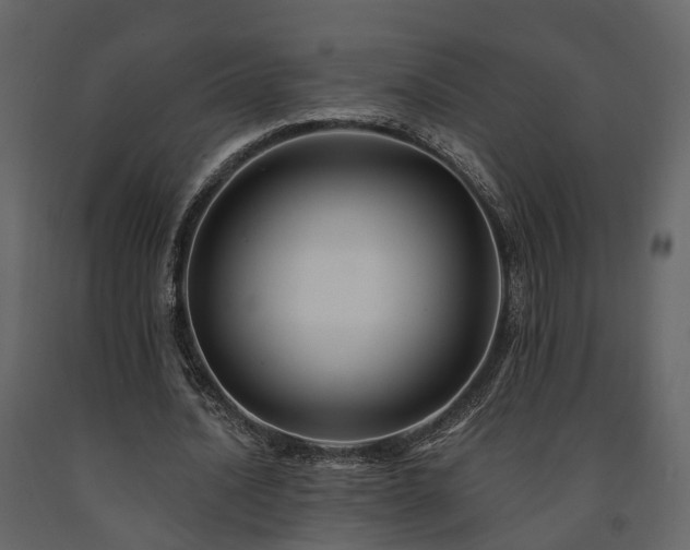 X0000091690628200708231441