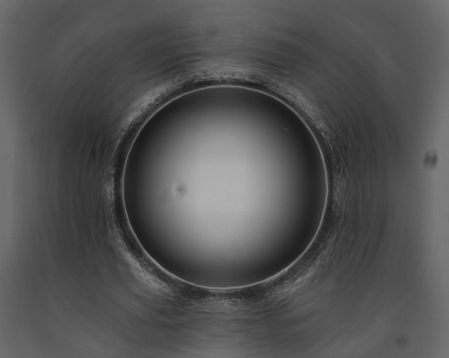 X0000091690629200708231441