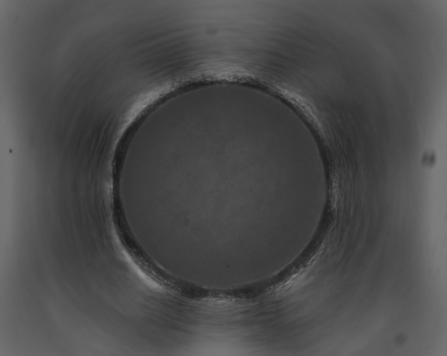 X0000091690630200708231441
