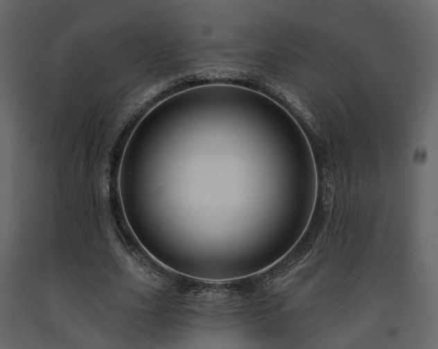 X0000091690631200708231441