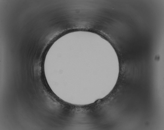 X0000091690632200708231441