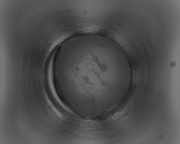 X0000091690634200708231441