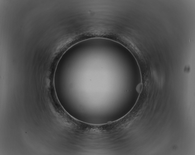 X0000091690635200708231441