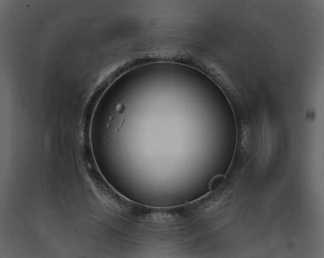 X0000091690636200708231441