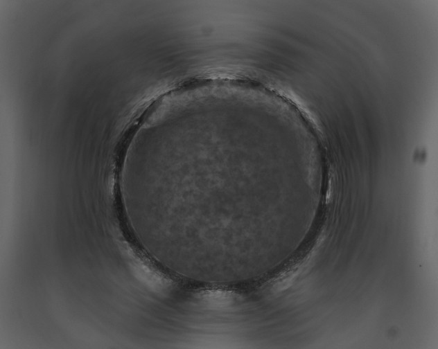 X0000091690637200708231441