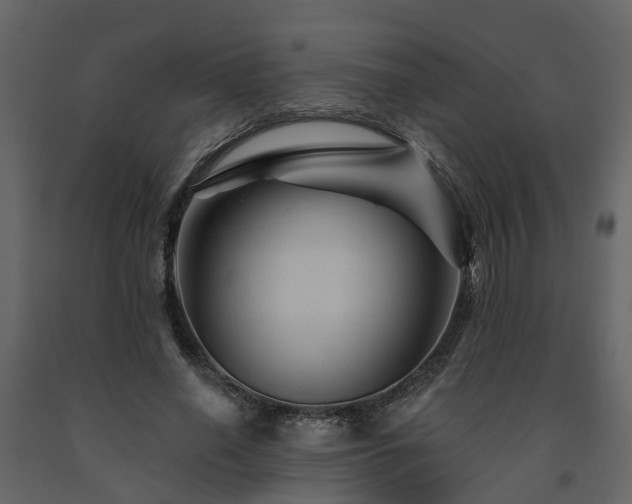 X0000091690638200708231441