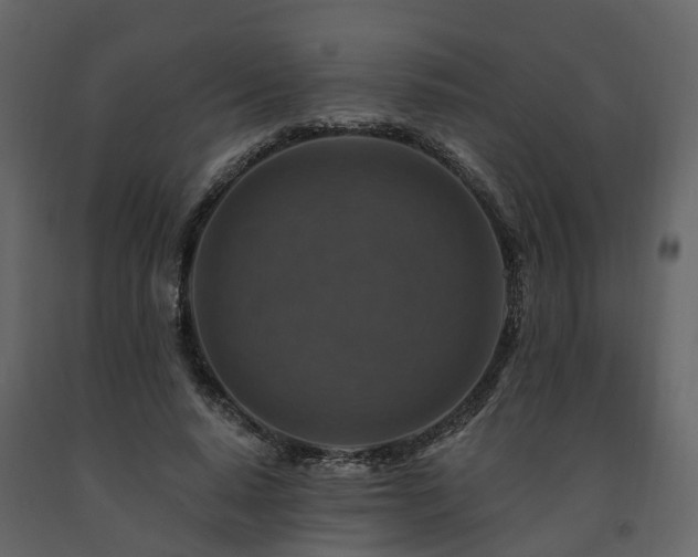 X0000091690640200708231441