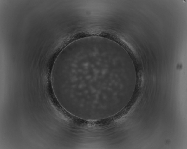 X0000091690641200708231441