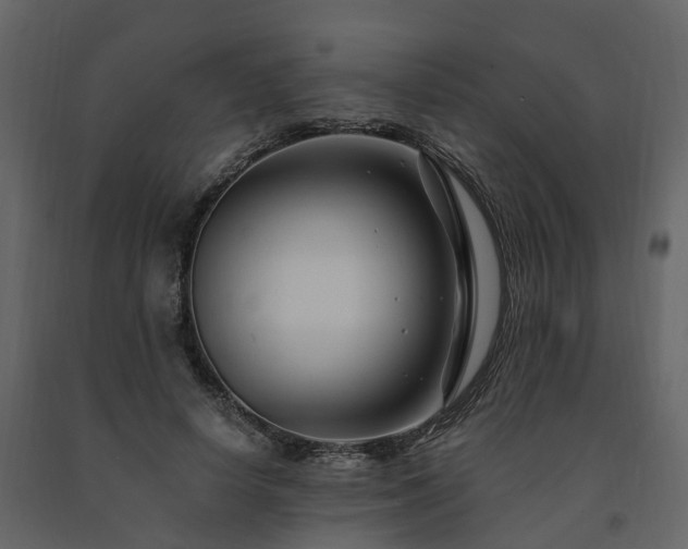 X0000091690642200708231441