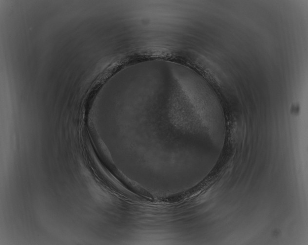 X0000091690643200708231441