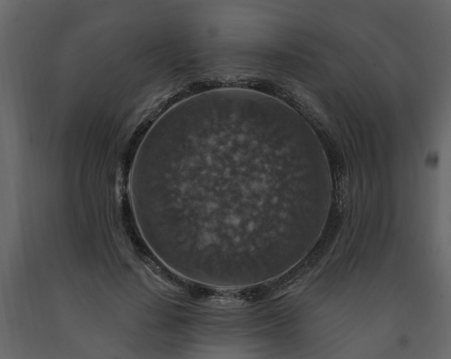 X0000091690644200708231441
