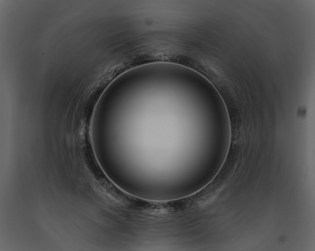X0000091690646200708231441