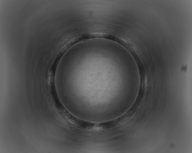 X0000091690647200708231441