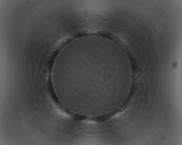 X0000091690648200708231441