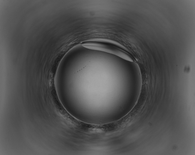 X0000091690649200708231441