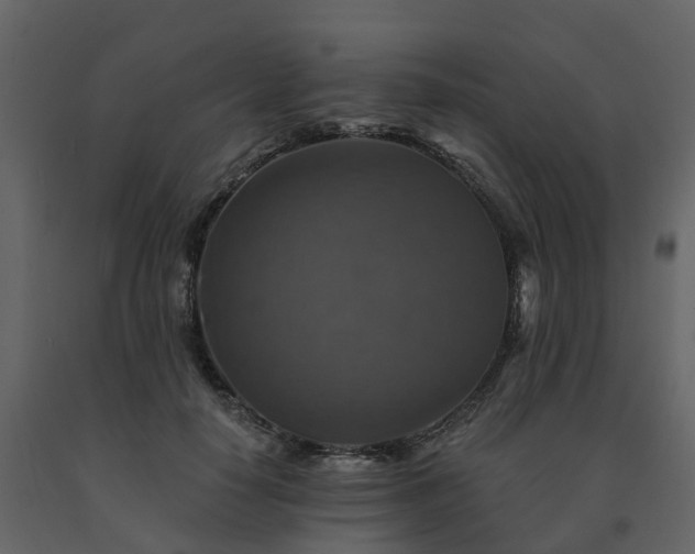 X0000091690650200708231441