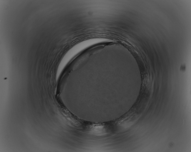X0000091690651200708231441