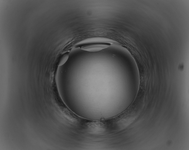 X0000091690652200708231441