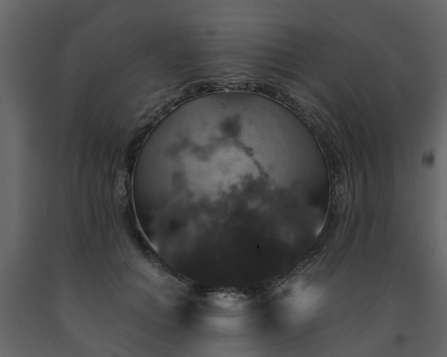 X0000091690654200708231441