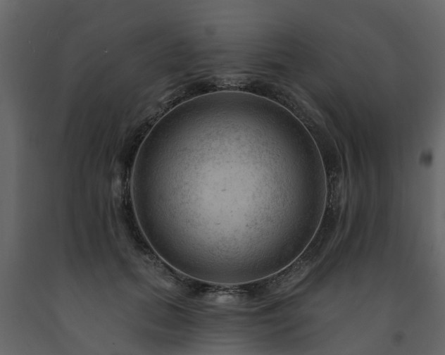 X0000091690655200708231441