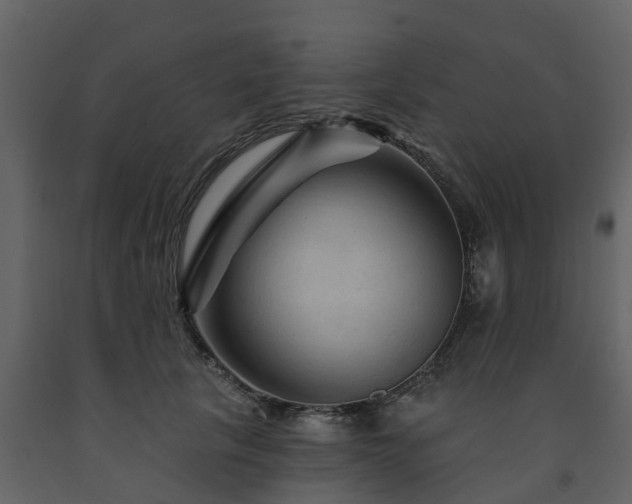 X0000091690657200708231441