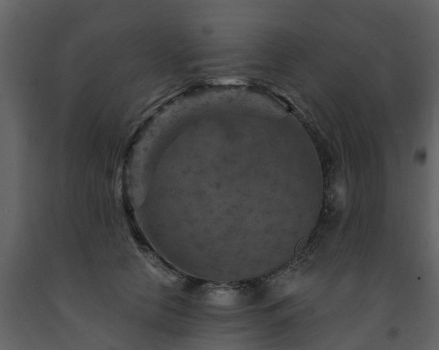 X0000091690658200708231441