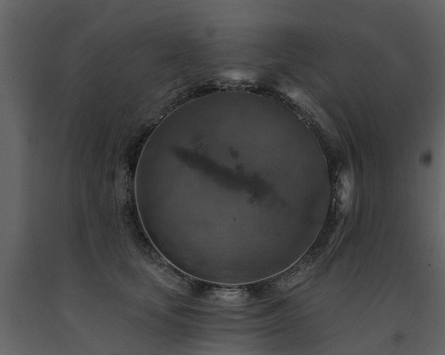 X0000091690659200708231441