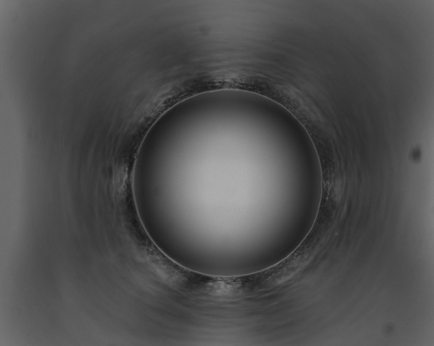 X0000091690660200708231441
