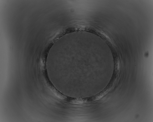 X0000091690661200708231441