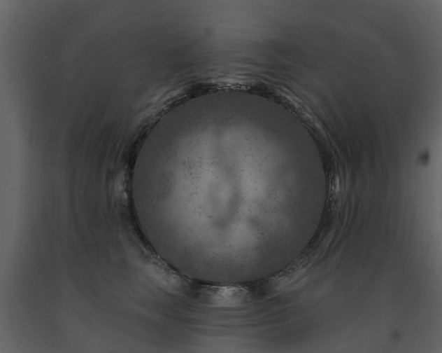 X0000091690663200708231441
