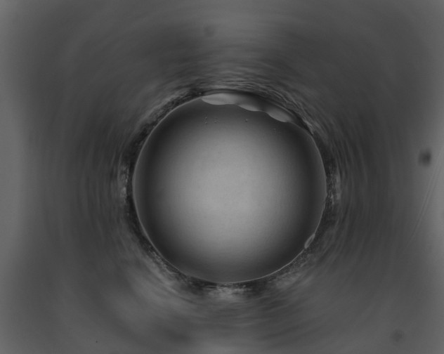 X0000091690664200708231441