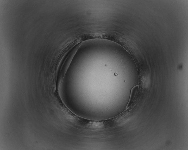 X0000091690665200708231441