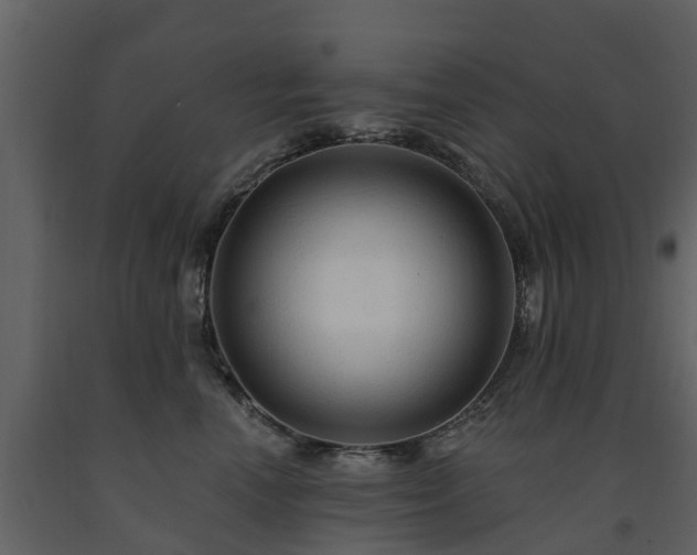 X0000091690666200708231441