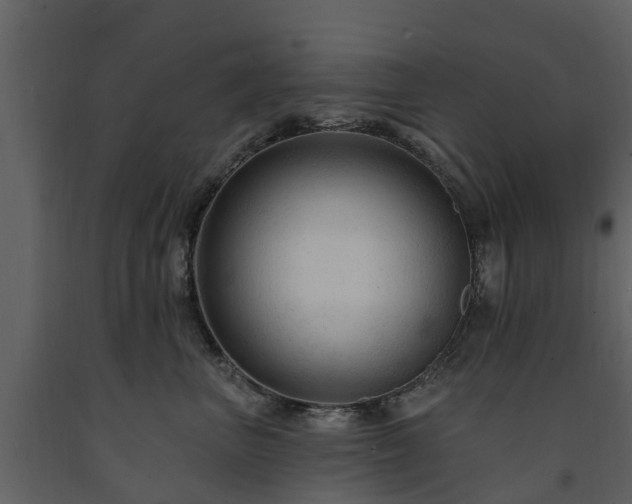 X0000091690667200708231441