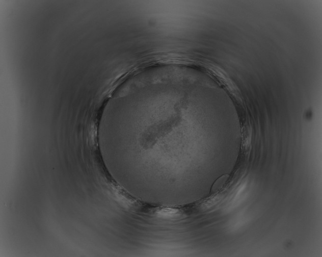 X0000091690669200708231441