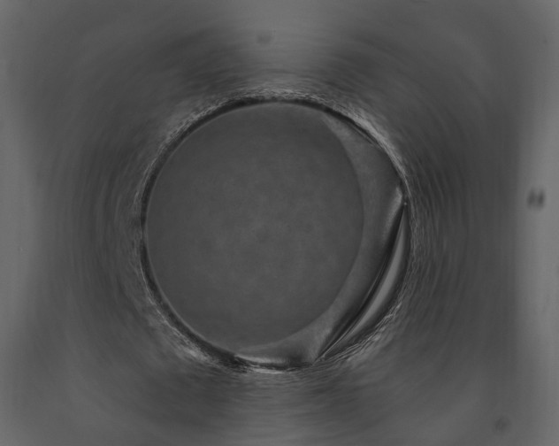 X0000091690673200708231441