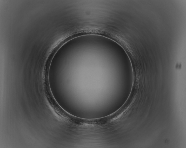 X0000091690674200708231441