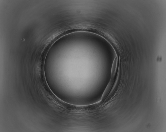 X0000091690675200708231441
