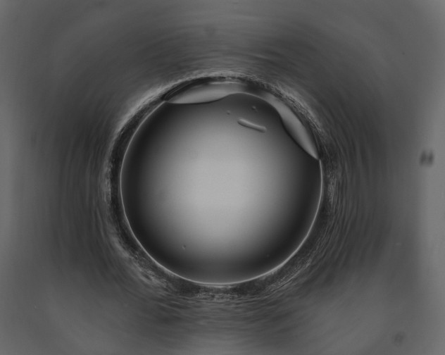 X0000091690676200708231441