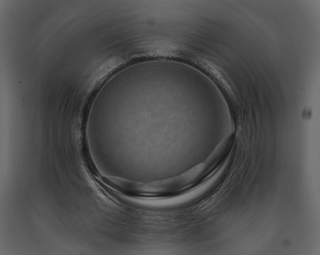 X0000091690677200708231441