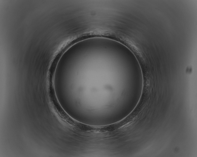 X0000091690678200708231441