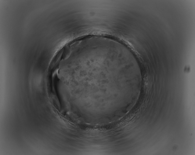 X0000091690679200708231441