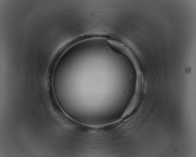 X0000091690680200708231441