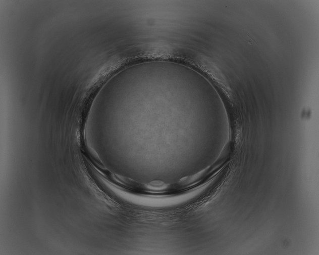 X0000091690681200708231441
