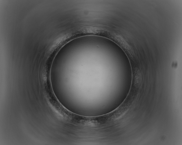 X0000091690683200708231441