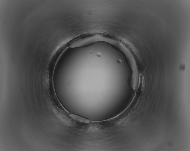 X0000091690684200708231440