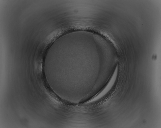 X0000091690685200708231440