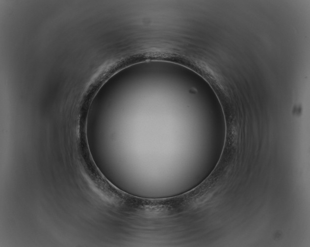X0000091690686200708231440